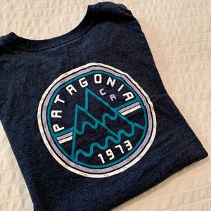 Patagonia graphic tee, regular fit